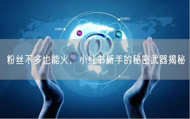 粉丝不多也能火，小红书新手的秘密武器揭秘