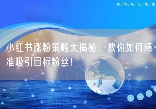 小红书涨粉策略大揭秘：教你如何精准吸引目标粉丝！