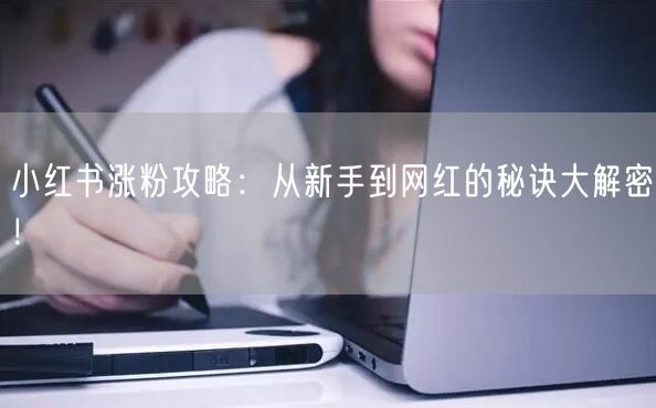 小红书涨粉攻略：从新手到网红的秘诀大解密！