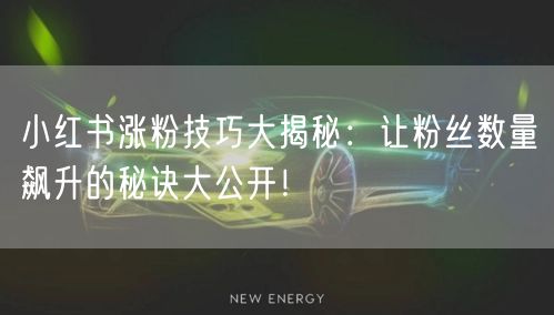 小红书涨粉技巧大揭秘：让粉丝数量飙升的秘诀大公开！