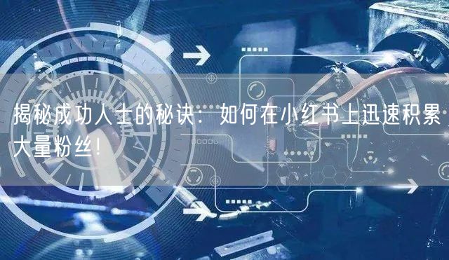 揭秘成功人士的秘诀：如何在小红书上迅速积累大量粉丝！