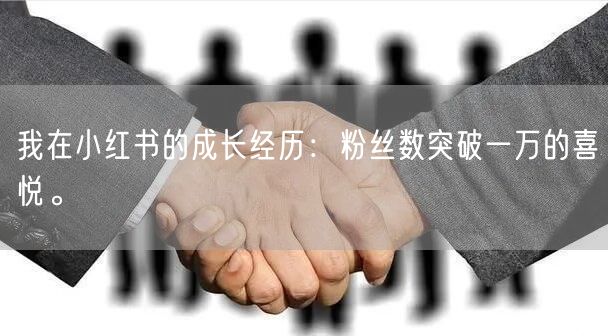 我在小红书的成长经历：粉丝数突破一万的喜悦。
