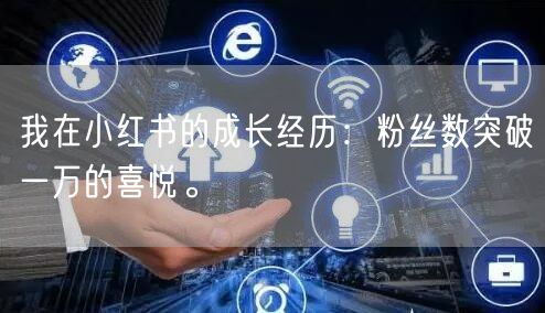我在小红书的成长经历：粉丝数突破一万的喜悦。