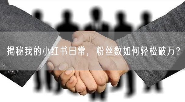 揭秘我的小红书日常，粉丝数如何轻松破万？