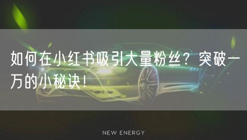 如何在小红书吸引大量粉丝？突破一万的小秘诀！