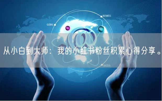 从小白到大师：我的小红书粉丝积累心得分享。