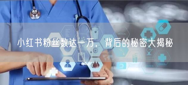 小红书粉丝数达一万，背后的秘密大揭秘
