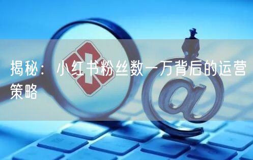 揭秘：小红书粉丝数一万背后的运营策略