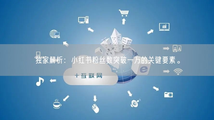 独家解析：小红书粉丝数突破一万的关键要素。