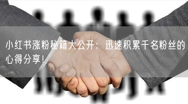小红书涨粉秘籍大公开：迅速积累千名粉丝的心得分享！