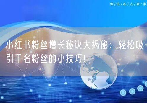 小红书粉丝增长秘诀大揭秘：轻松吸引千名粉丝的小技巧！