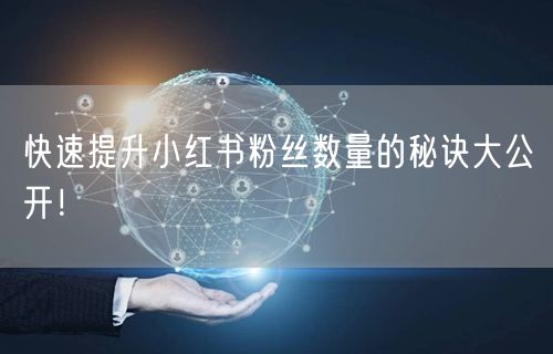 快速提升小红书粉丝数量的秘诀大公开！