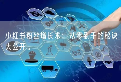 小红书粉丝增长术：从零到千的秘诀大公开。
