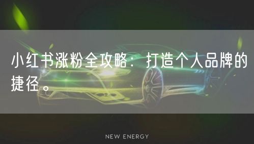 小红书涨粉全攻略：打造个人品牌的捷径。