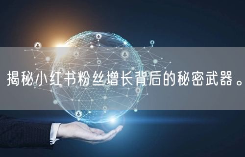 揭秘小红书粉丝增长背后的秘密武器。