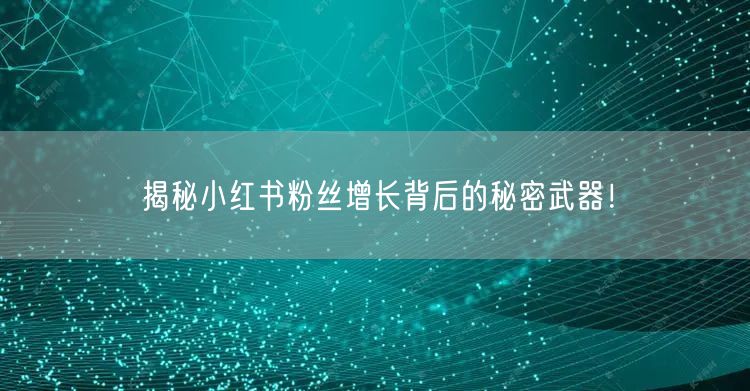 揭秘小红书粉丝增长背后的秘密武器！