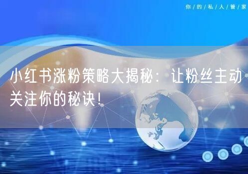 小红书涨粉策略大揭秘：让粉丝主动关注你的秘诀！