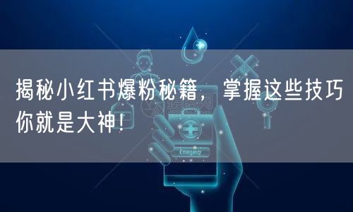 揭秘小红书爆粉秘籍，掌握这些技巧你就是大神！