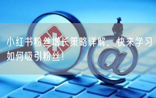 小红书粉丝增长策略详解，快来学习如何吸引粉丝！