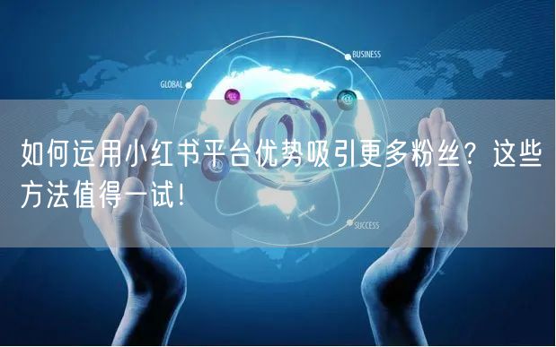 如何运用小红书平台优势吸引更多粉丝？这些方法值得一试！