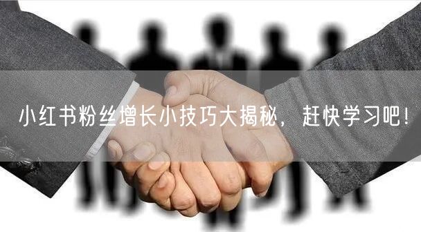 小红书粉丝增长小技巧大揭秘，赶快学习吧！