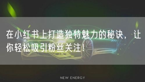 在小红书上打造独特魅力的秘诀，让你轻松吸引粉丝关注！