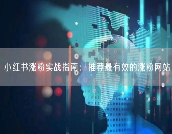 小红书涨粉实战指南：推荐最有效的涨粉网站
