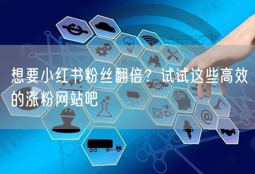 想要小红书粉丝翻倍？试试这些高效的涨粉网站吧