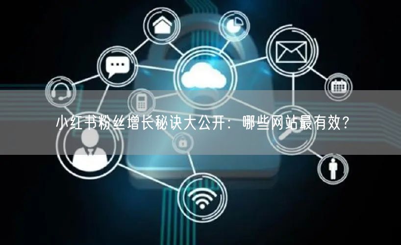 小红书粉丝增长秘诀大公开：哪些网站最有效？