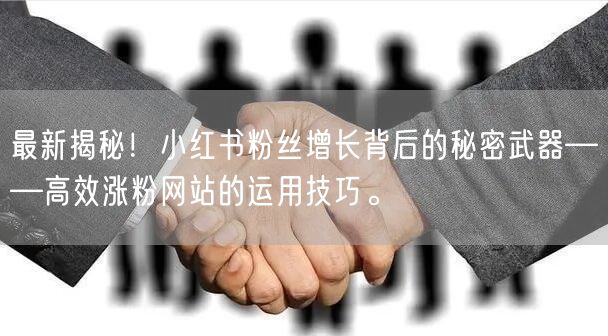 最新揭秘！小红书粉丝增长背后的秘密武器——高效涨粉网站的运用技巧。