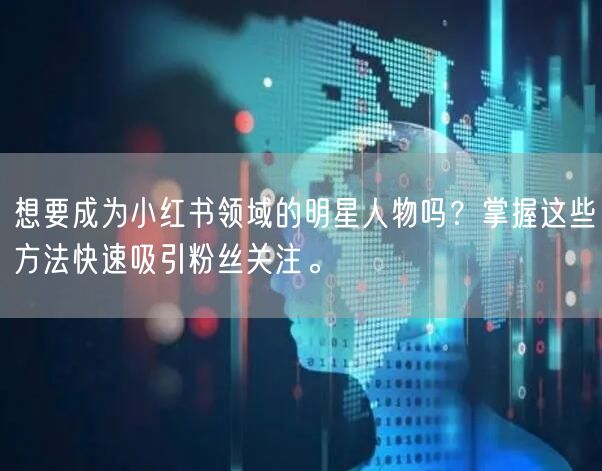 想要成为小红书领域的明星人物吗？掌握这些方法快速吸引粉丝关注。