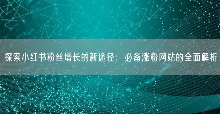 探索小红书粉丝增长的新途径：必备涨粉网站的全面解析
