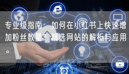 专业级指南：如何在小红书上快速增加粉丝数量？精选网站的解析与应用。