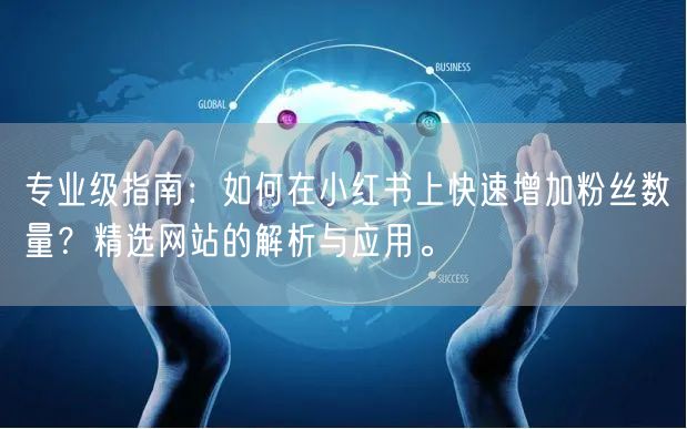 专业级指南：如何在小红书上快速增加粉丝数量？精选网站的解析与应用。