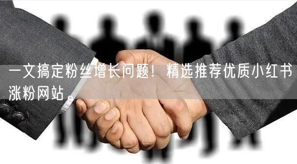 一文搞定粉丝增长问题！精选推荐优质小红书涨粉网站。
