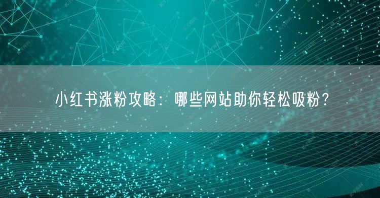 小红书涨粉攻略：哪些网站助你轻松吸粉？