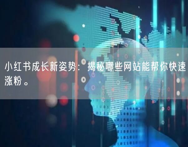小红书成长新姿势：揭秘哪些网站能帮你快速涨粉。