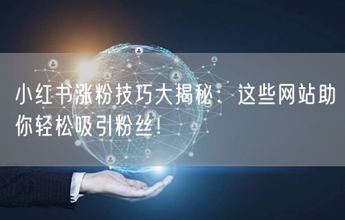 小红书涨粉技巧大揭秘：这些网站助你轻松吸引粉丝！