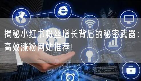 揭秘小红书粉丝增长背后的秘密武器：高效涨粉网站推荐！