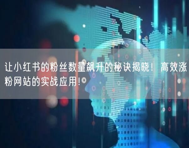 让小红书的粉丝数量飙升的秘诀揭晓！高效涨粉网站的实战应用！