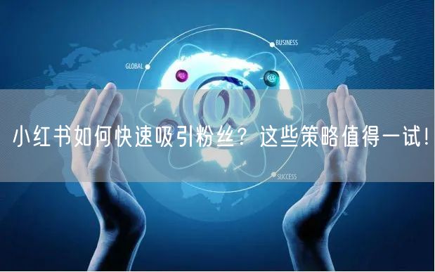 小红书如何快速吸引粉丝？这些策略值得一试！
