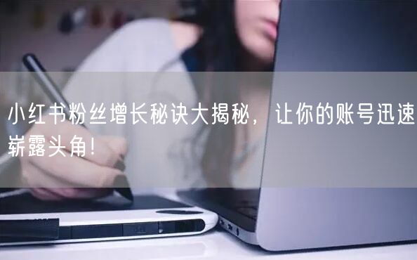 小红书粉丝增长秘诀大揭秘，让你的账号迅速崭露头角！