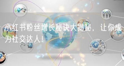 小红书粉丝增长秘诀大揭秘，让你成为社交达人！