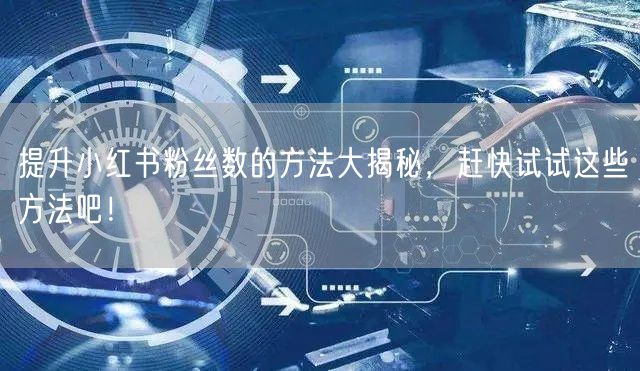 提升小红书粉丝数的方法大揭秘，赶快试试这些方法吧！