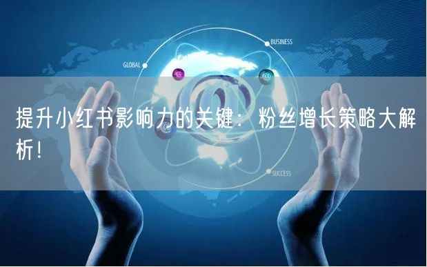 提升小红书影响力的关键：粉丝增长策略大解析！