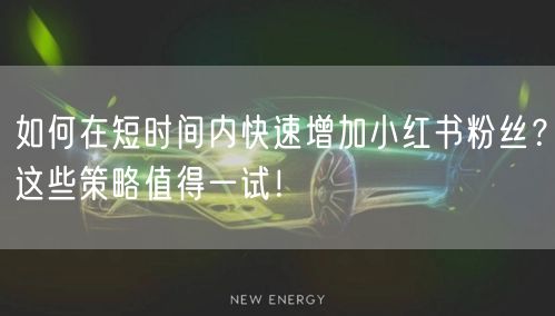 如何在短时间内快速增加小红书粉丝？这些策略值得一试！