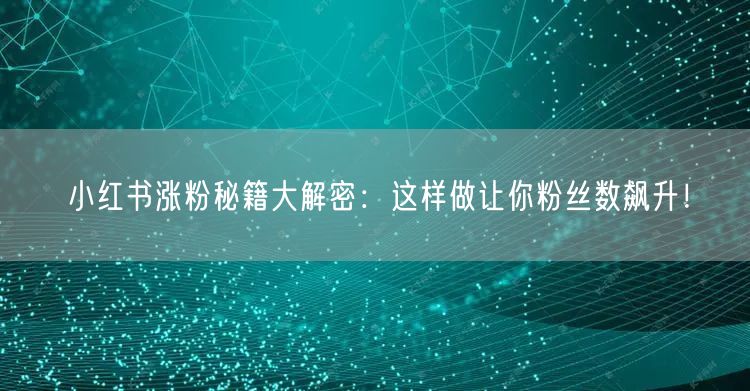 小红书涨粉秘籍大解密：这样做让你粉丝数飙升！