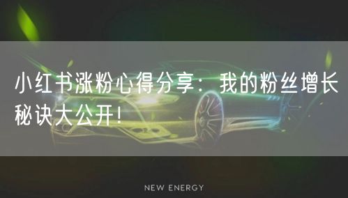 小红书涨粉心得分享：我的粉丝增长秘诀大公开！