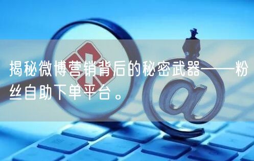 揭秘微博营销背后的秘密武器——粉丝自助下单平台。