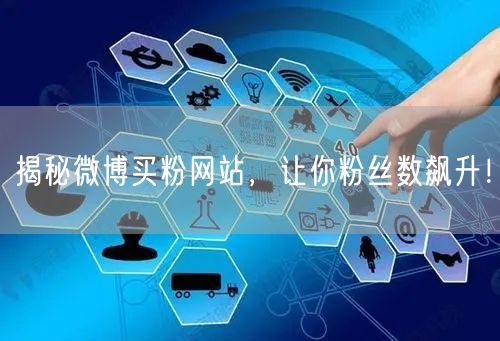 揭秘微博买粉网站，让你粉丝数飙升！